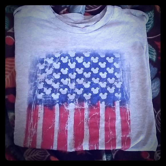 Disney Tops - WDW PARKS EXTRA LARGE WOMENS TEE